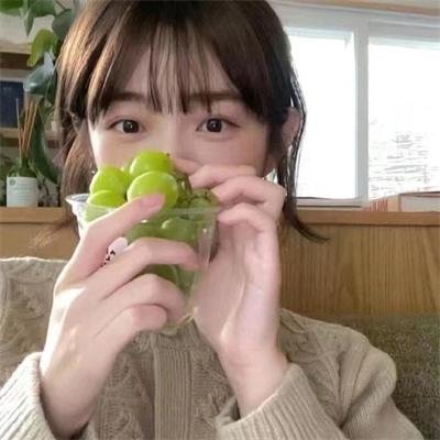 追影行动